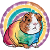 Meerschweinchen Regenbogen