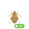 Pest Control Exterminators