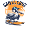 Santa Cruz Surfing Pelican