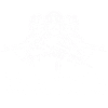Quadriga 2024 w