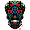Mexican skull