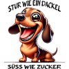 Dackel Hund Jagdhund