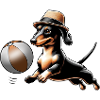 Dachshund playing ball