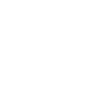 Einzigartiges Border-Collie-Design für