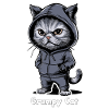 Annoying Evil Cat
