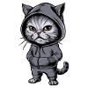 Angry Angry Cat