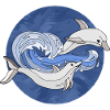 Dolphins