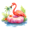 Flamingo in summer