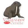 Walrus Walrus Walrus Walrus Gift