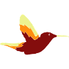 kolibri vogel