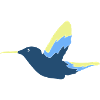 Colibri Oiseau