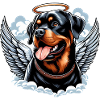 Doux Rottweiler Angel Halo