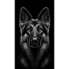 Deutscher Schäferhund - German Shepherd
