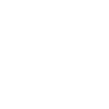 Team safari
