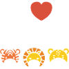 I Love Safari