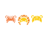 Team safari