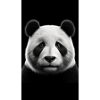 Großer Panda - Panda géant