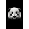 Bébé panda