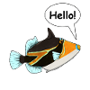 Humuhumunukunukuapua'a Hawaiian Reef Pusher