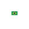 Fier Brésil Brésil Drapeau brésilien