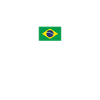Rio de Janeiro Brésil Brésil Drapeau