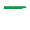 Rio de Janeiro Brésil Brésil Drapeau
