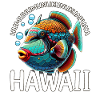 Humuhumunukunukuapua'a Hawaiian Reef Triggerfish