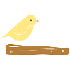 Bird, Animal, Branch, Nature