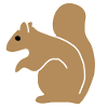 Squirrel Animals Symbol