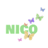 Nico Nico
