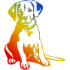 Beagle Hund Bunt
