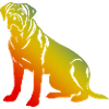 Bullmastiff Hund Bunt