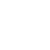 Triathlete