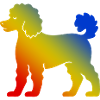 Poodle Hund Bunt