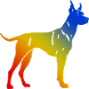 Doberman Hund Bunt