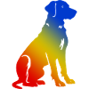 Dackel DachsHund Bunt Hund Bunt