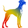 Great Dane Hund Bunt