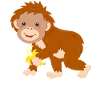 Orangutan Monkey Baby