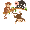 Funny Monkeys