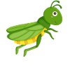 Grasshoppers for children