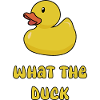 What The Duck