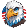 USA Flag Eaglehead Bald Eagle