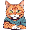 Cat Pet Tiger
