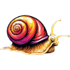 Snail Vineyard Snail