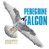 Peregrine Falcon