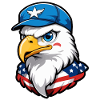 USA Aviator Eagle