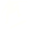 Street Skating - Skateboard Pro