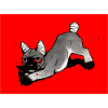 Frensh Dog