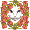 Cat Cats Kitten Birthday