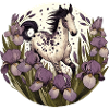 Appaloosa